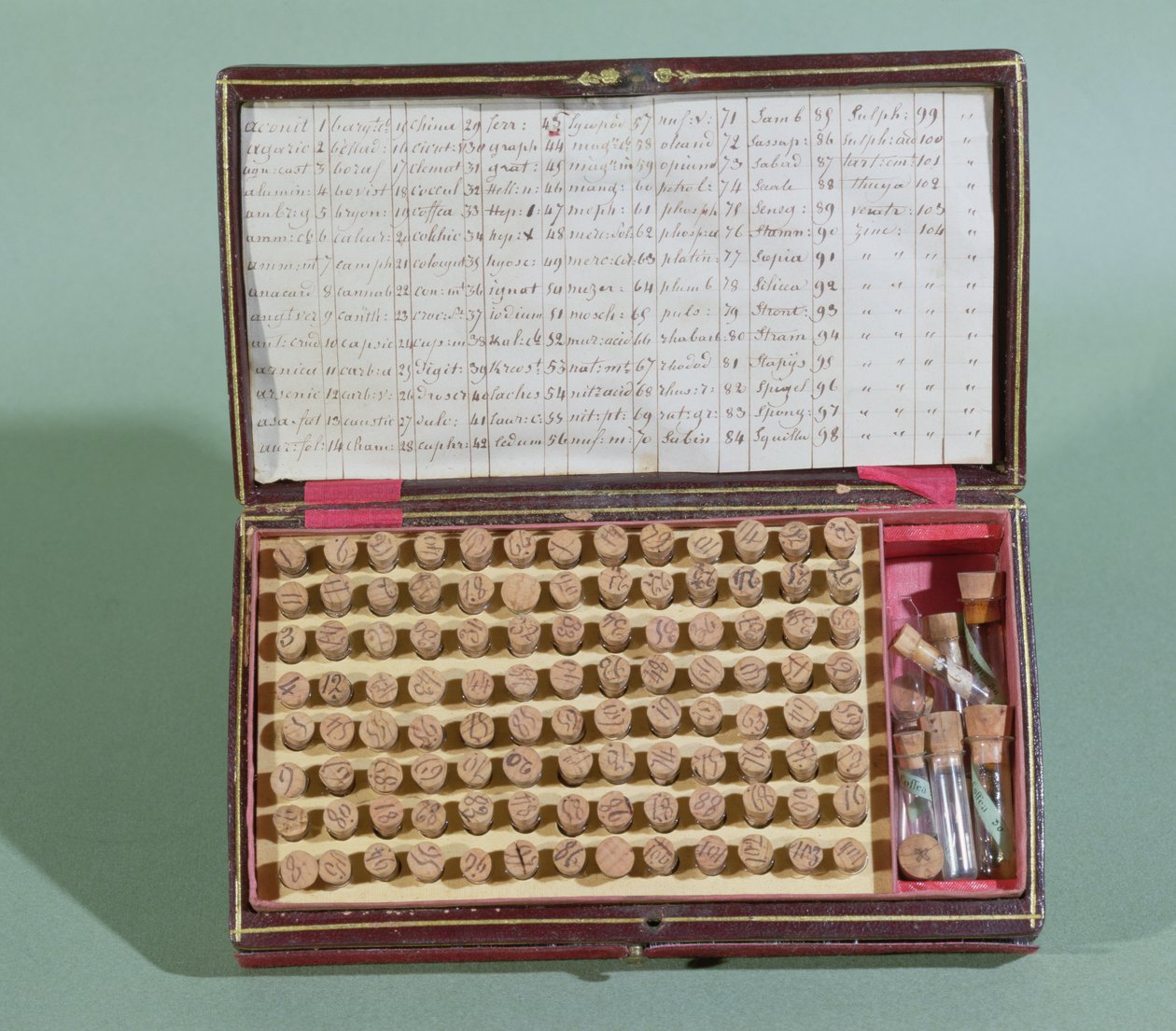 Valise de médecine homéopathique, 2e moitié du 19e siècle - French School