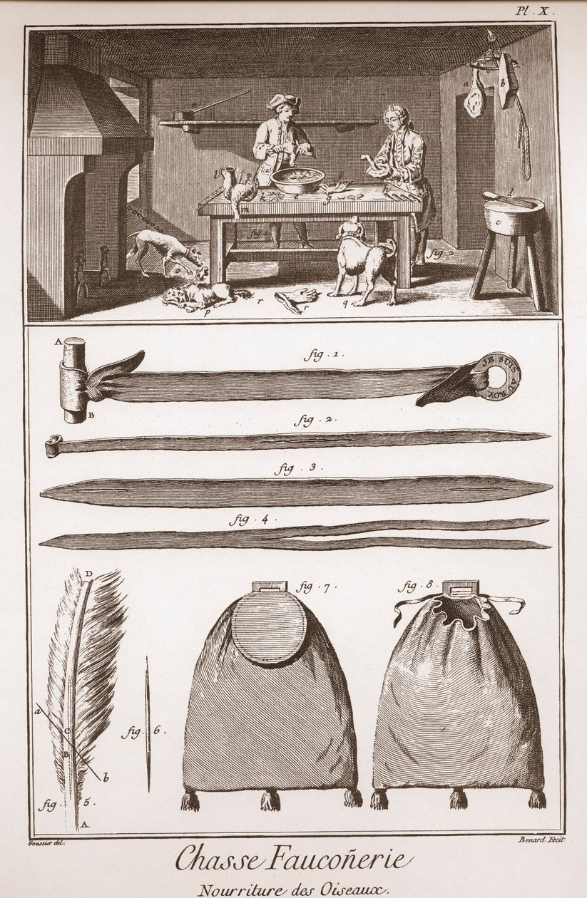 Chasse - Fauconnerie - Nourriture des oiseaux - Gravure par Benard d