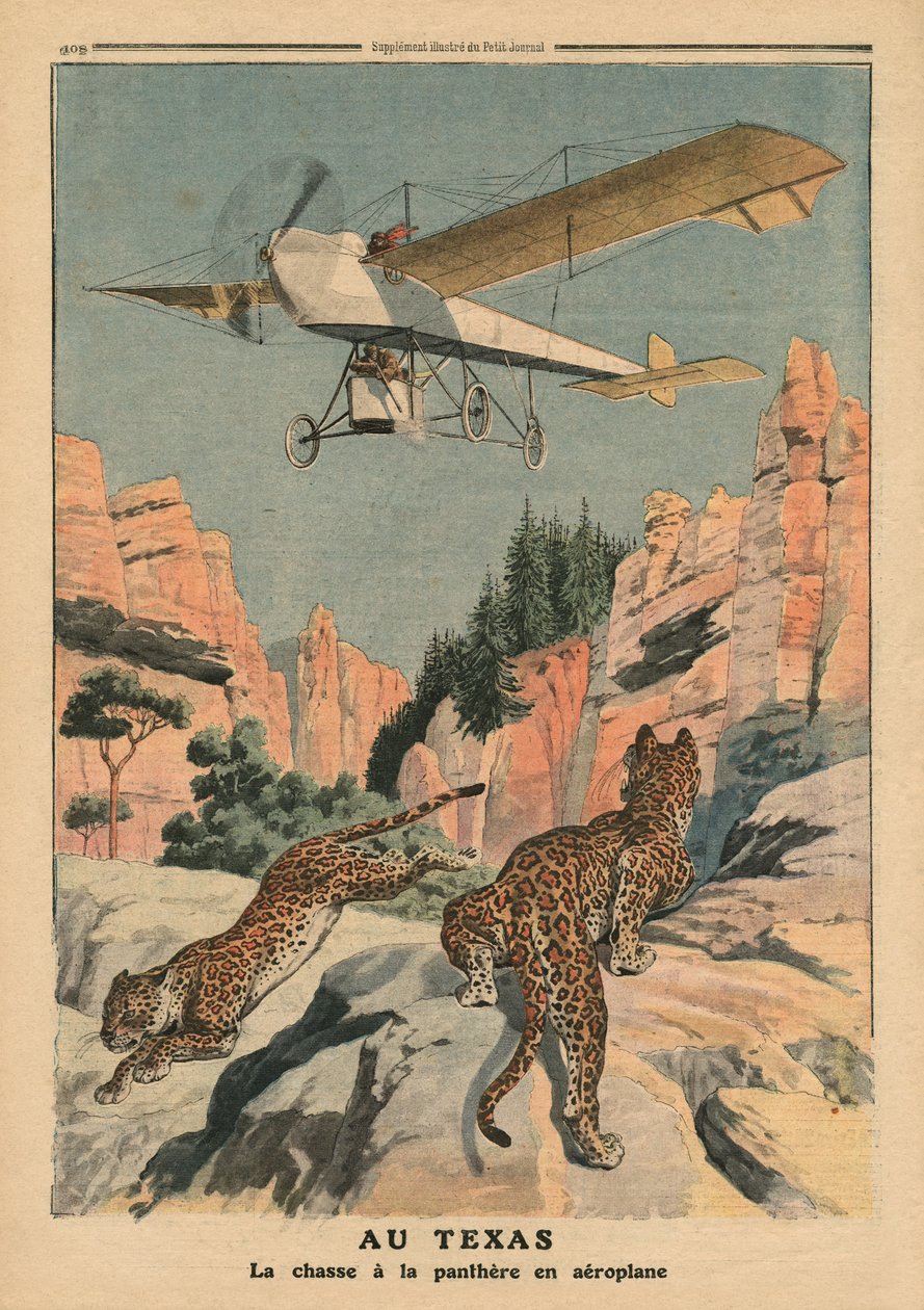 Chasse aux panthères depuis un avion au Texas, illustration de 