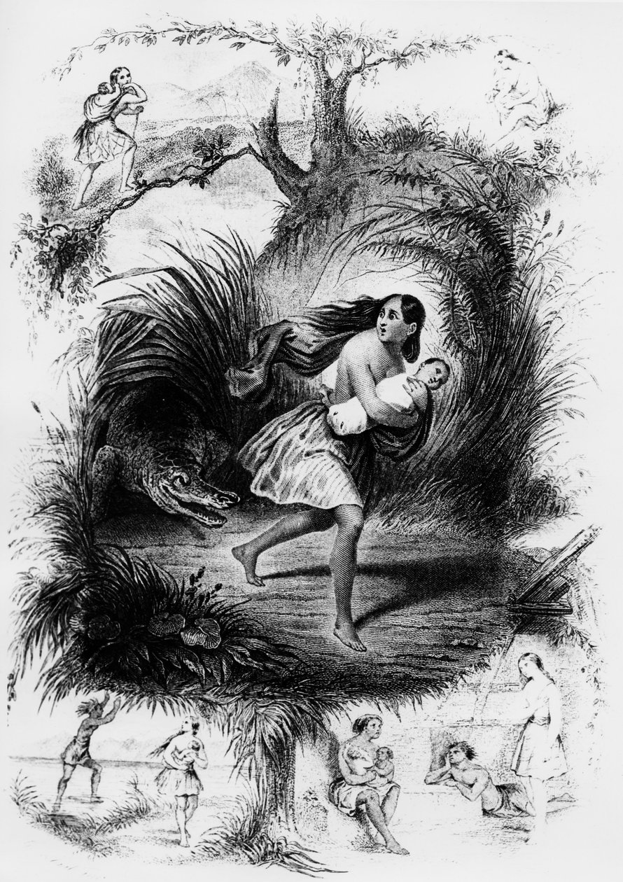 Illustration du roman "Les Natchez" de François René de Chateaubriand - French School
