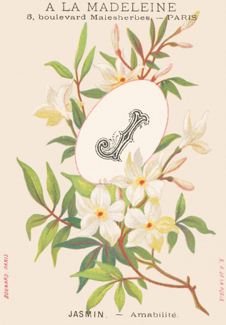 J: jasmin - amabilité - French School