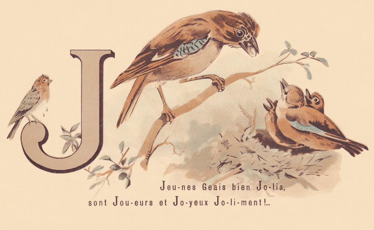J : Jeunes geais jolis sont joueurs et heureux joliment ! - French School