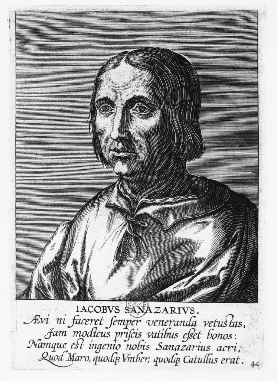 Jacopo Sannazaro (gravure) - French School