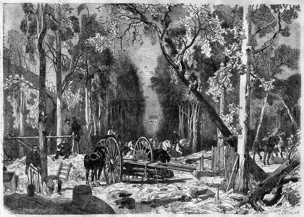 Le bûcheron au jardin du Luxembourg à Paris en 1870 - French School