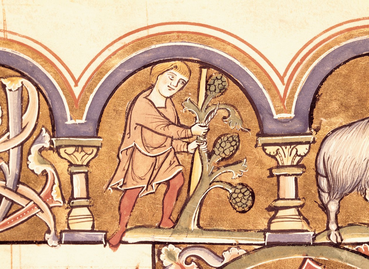 Mars : Greffage des arbres, du Psautier de Sainte Élisabeth - French School