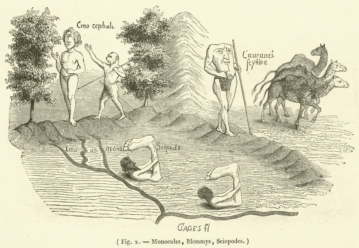 Monocules, Blemmys, Sciopodes (gravure) - French School