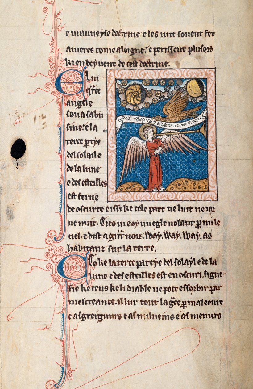 Ms65 f29v, Commentaire sur l
