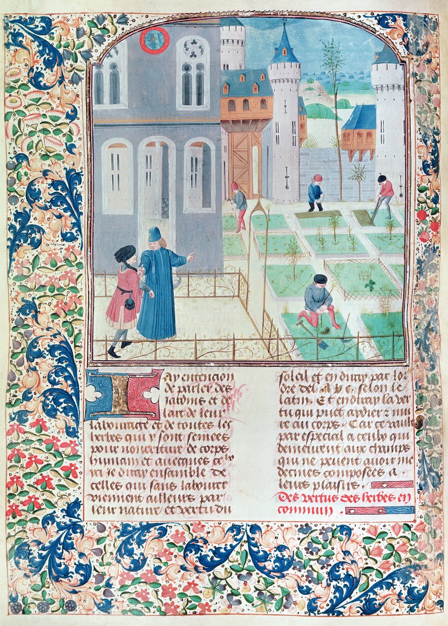 Ms 5064 f.151v Le Jardin, illustration de Le Livre des Prouffitz Champestres par Pietro de Crescenzi (1230-132021) - French School