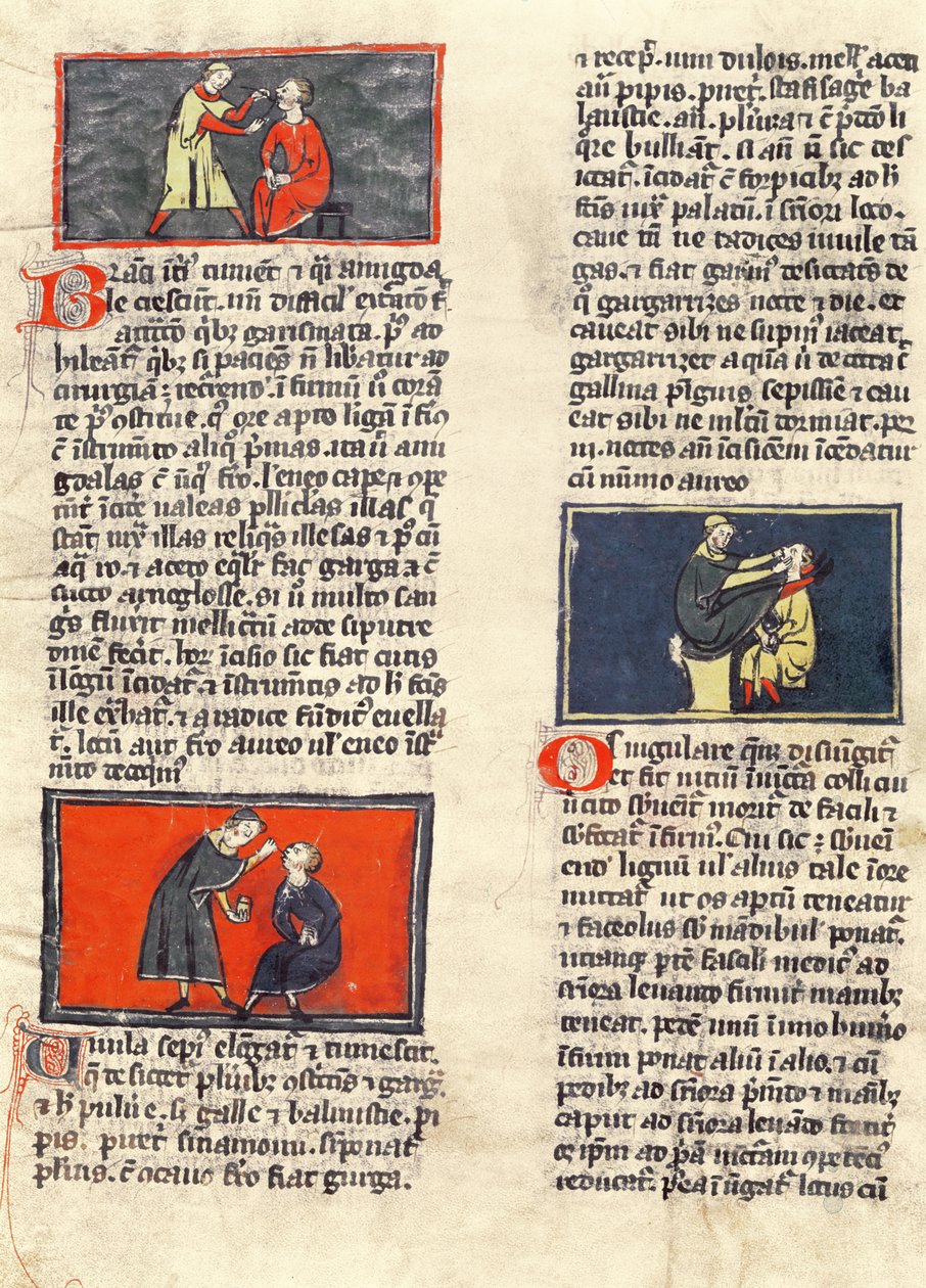 Ms H 89 fol.16v Chirurgie dentaire, d