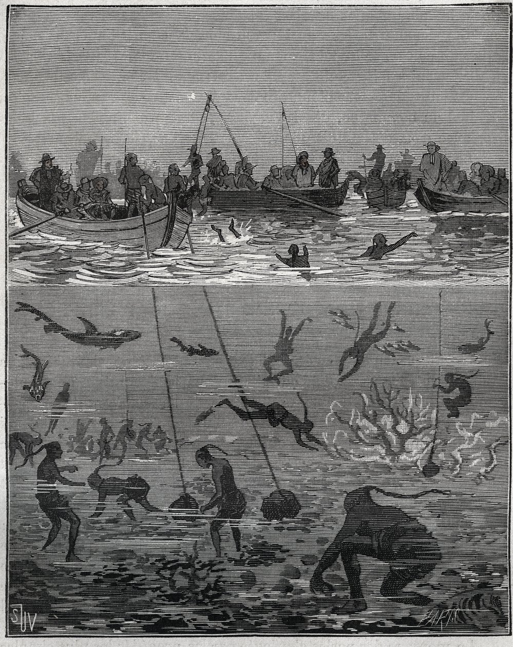 Pêcheurs de perles à Ceylan (Sri Lanka actuel) au XIXe siècle. Gravure de 1885 dans « Les arts et métiers illustrés » par Adolphe Bitard. - French School