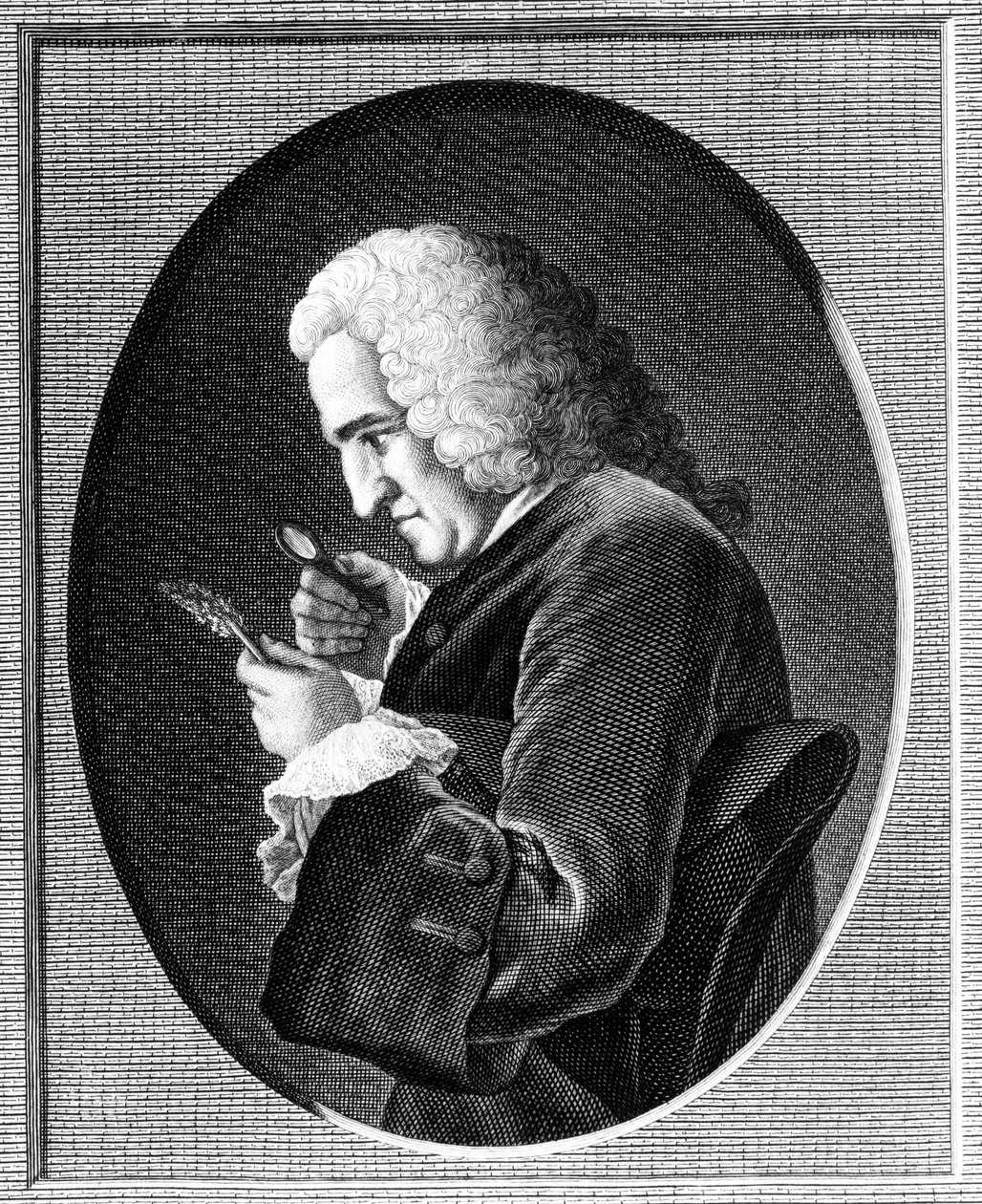 Portrait de Bernard de Jussieu (1699-1777) - French School