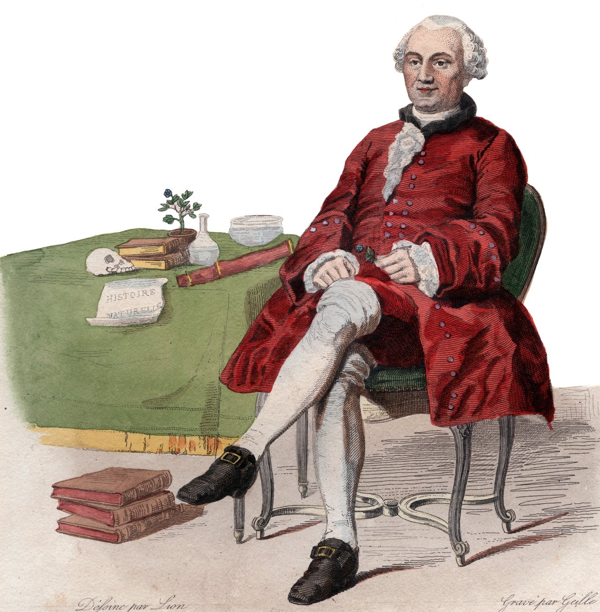 Portrait de Georges Louis Leclerc, comte de Buffon (1707-1788), naturaliste français - French School