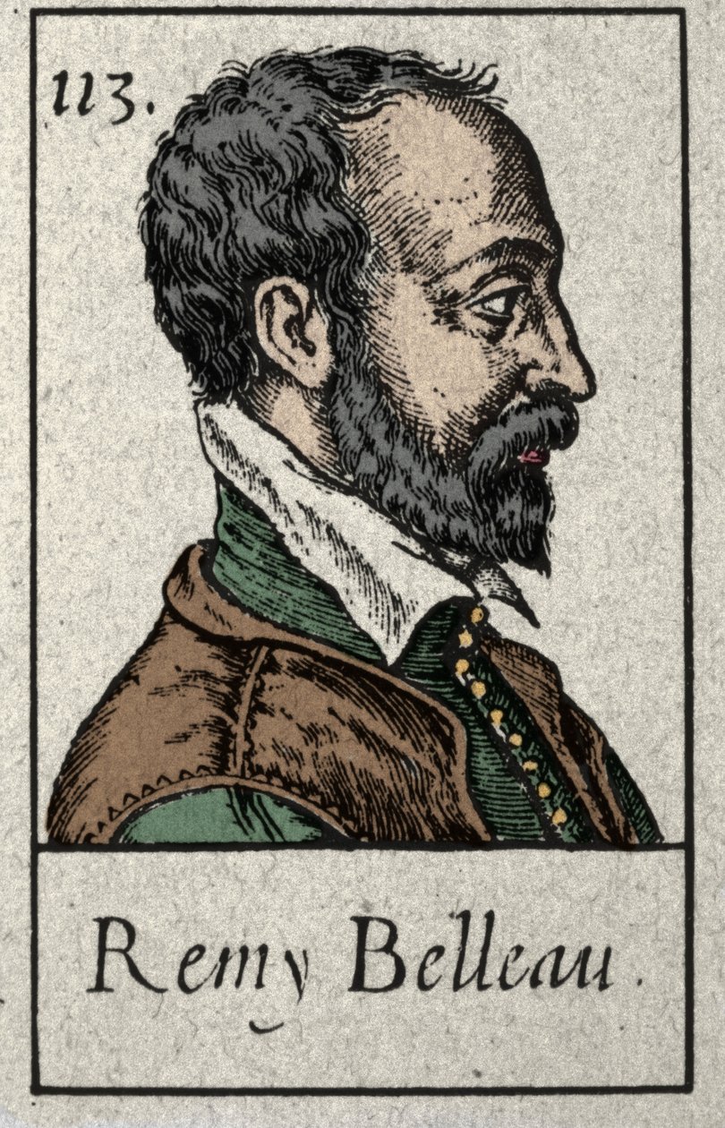 Portrait de Rémy Belleau (1528-1577) poète français membre du mouvement de la Pléiade. Gravure du XIXe siècle - French School