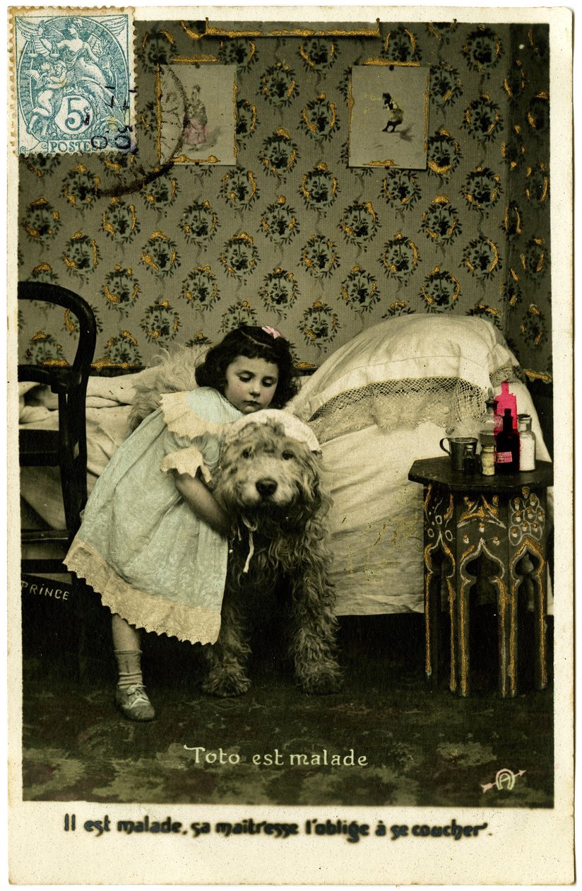 Carte postale : Toto est malade, il est malade, sa maîtresse le force à aller au lit, Prince - French School