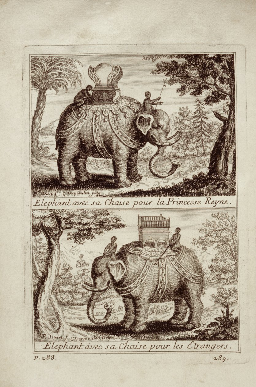 Éléphants royaux, de Voyage du Siam des Pères Jésuites par Guy Tachard, 1688 - French School