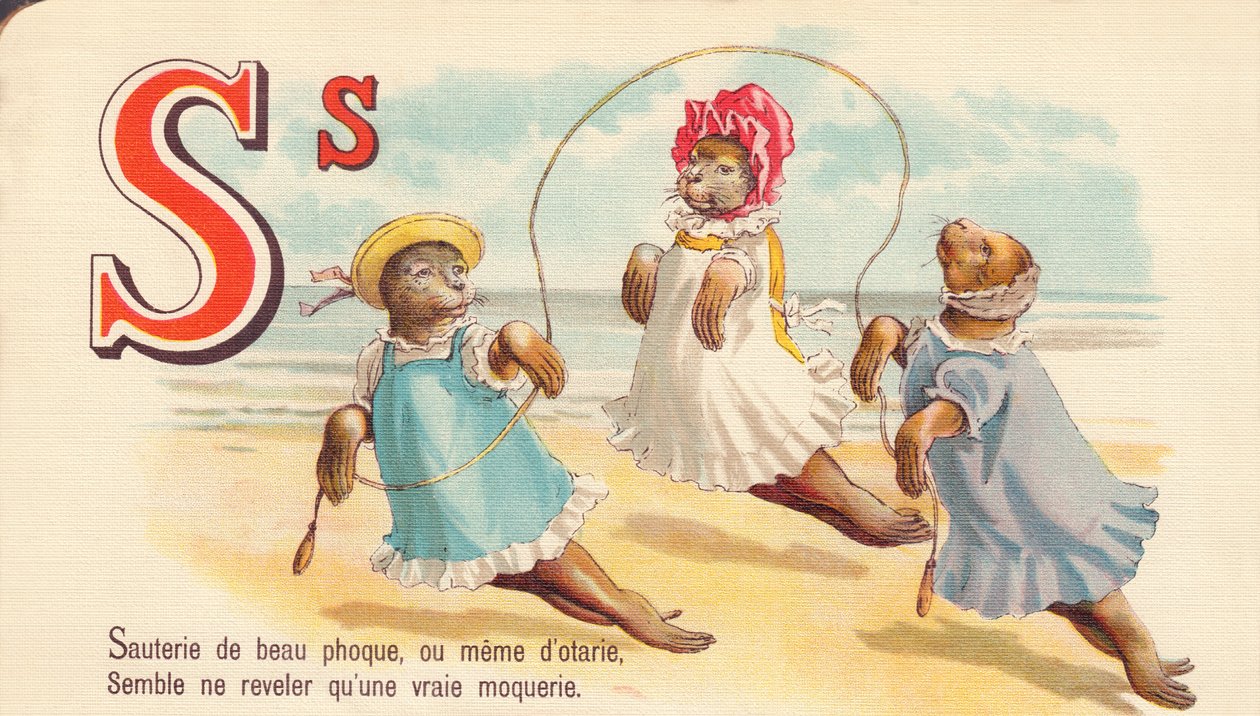 S : Sauté de beau phoque, ou même de phoques, semble révéler seulement une vraie moquerie - French School