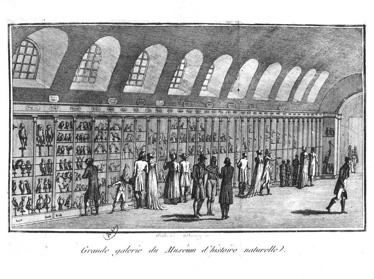 La Grande Galerie du Musée d