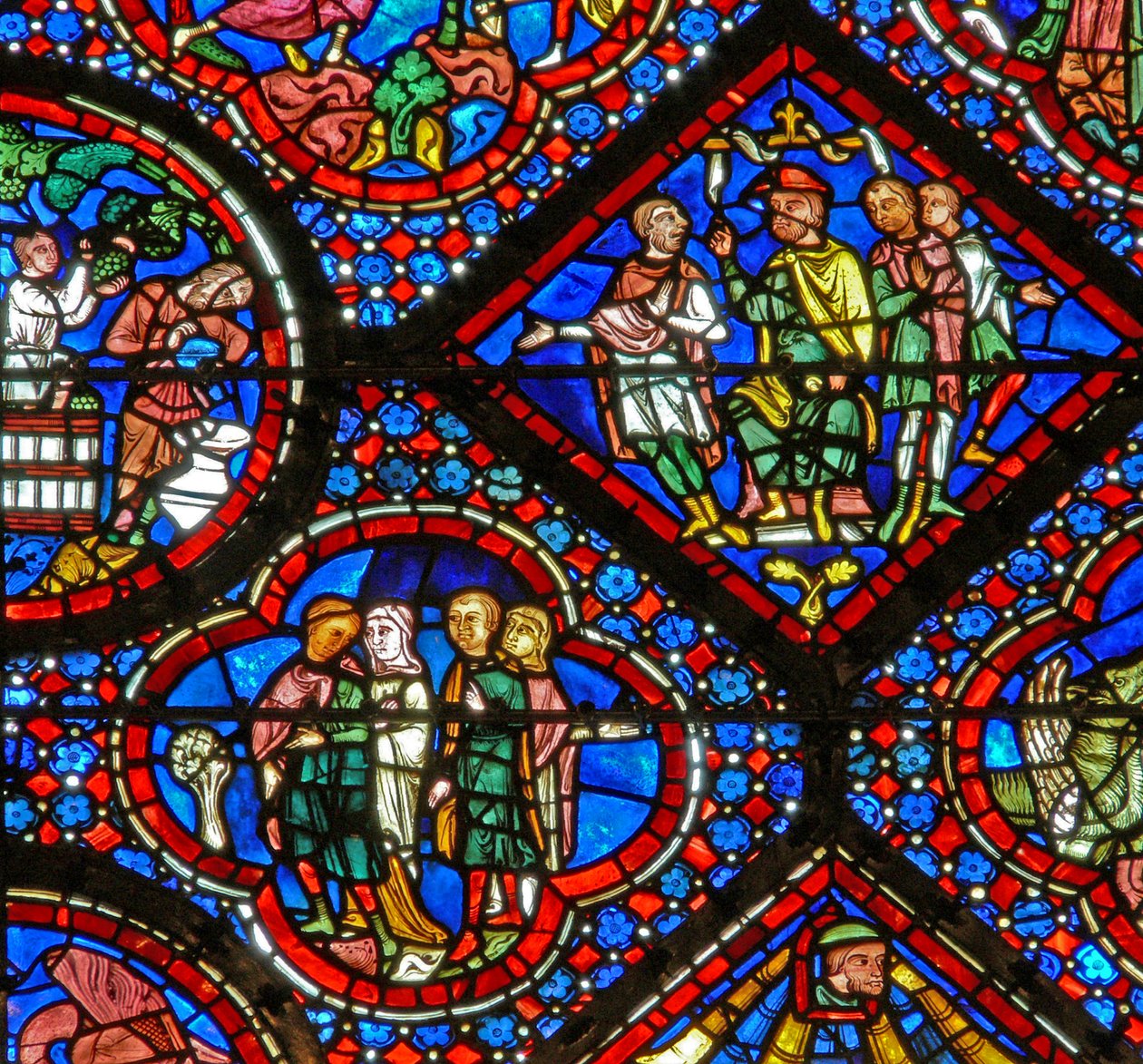 Fenêtre de Noé : la découverte de la vigne - French School