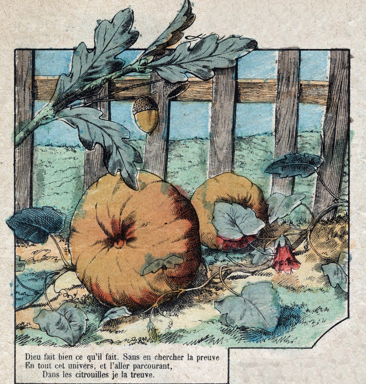 Le gland et la citrouille. Fables de Jean de La Fontaine (1621-95). Imagerie d