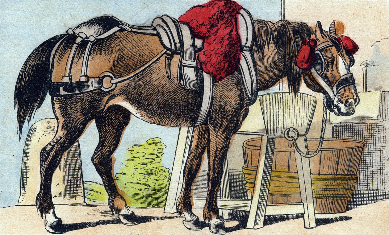Le cheval. Gravure dans "Buffon Alphabet des Animaux". 3e Série N 1. Imagerie d