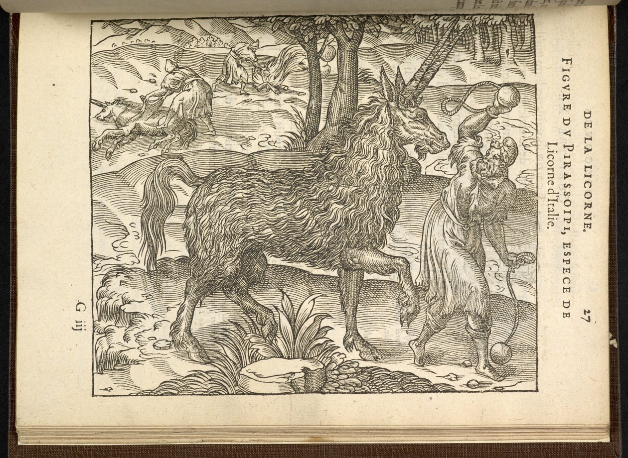 La chasse d