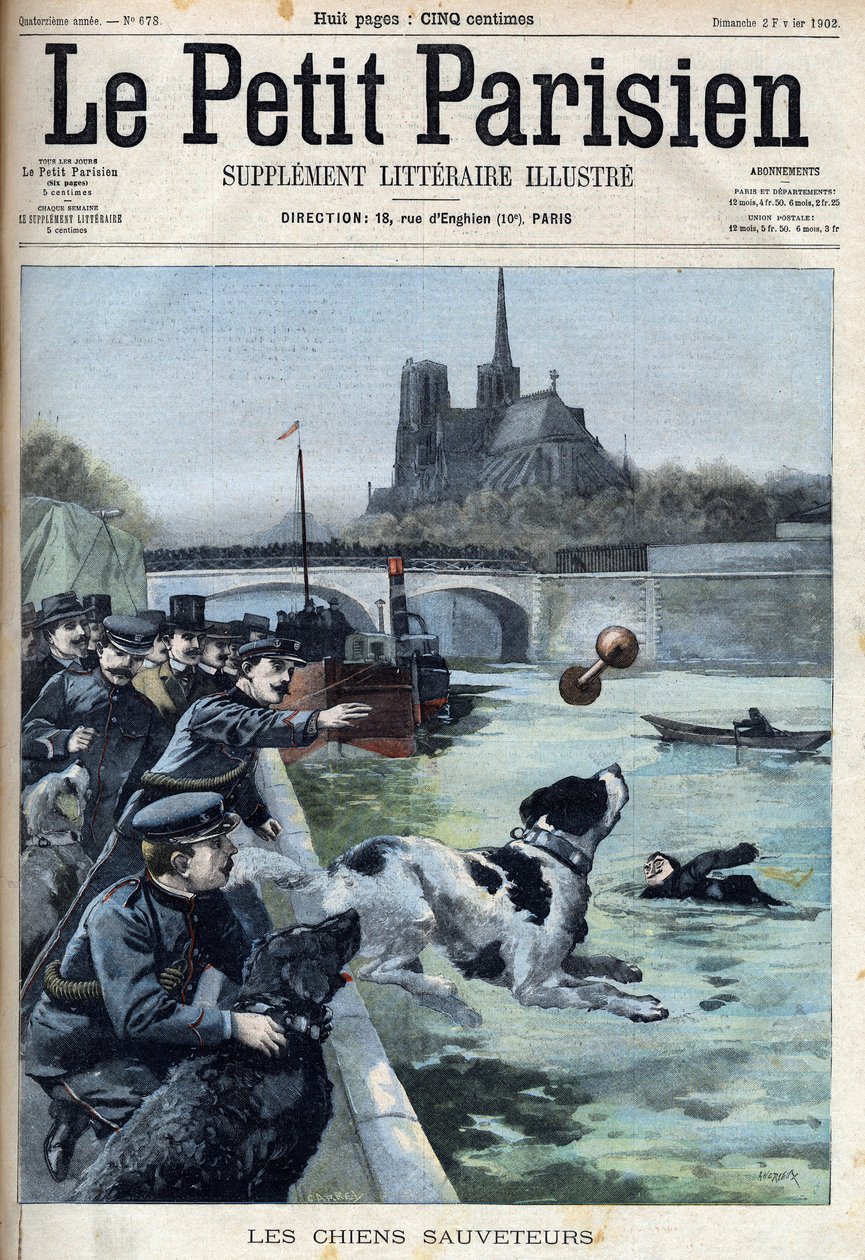 Entraînement des chiens de sauvetage par la police dans la Seine à Paris. Gravure dans "Le Petit Parisien" - French School
