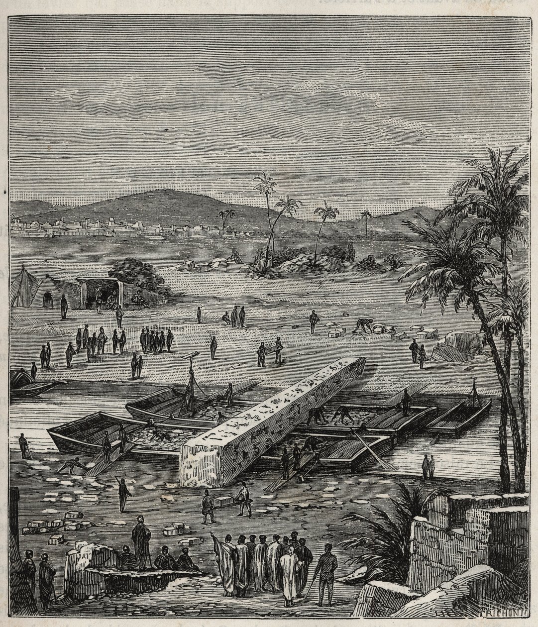 Transport de l