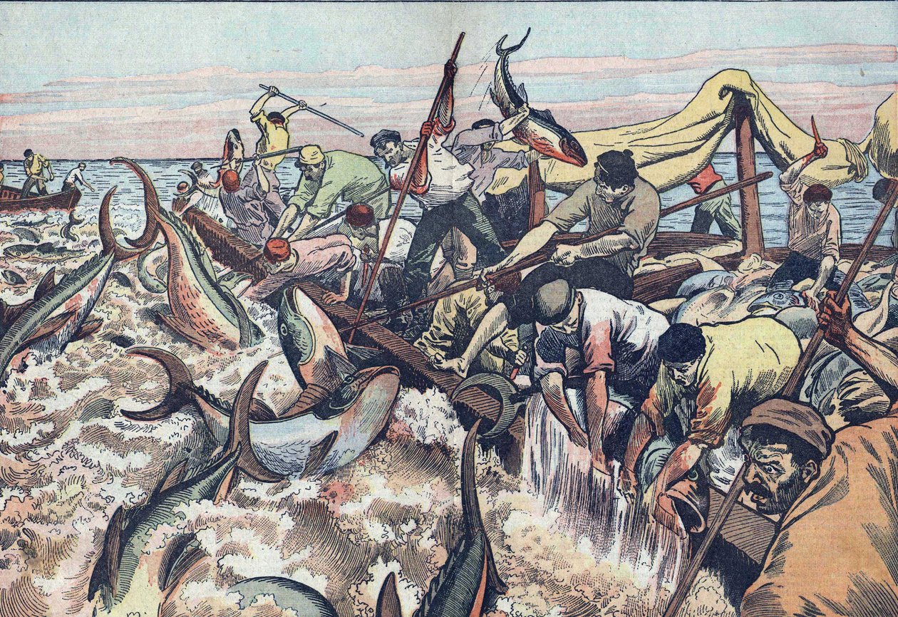 Pêche au thon en Tunisie:1925 - French School