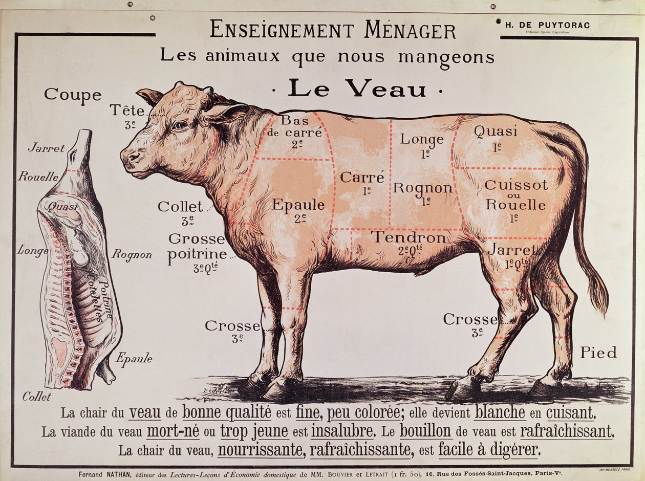 Veau : diagramme représentant les différentes coupes de viande - French School