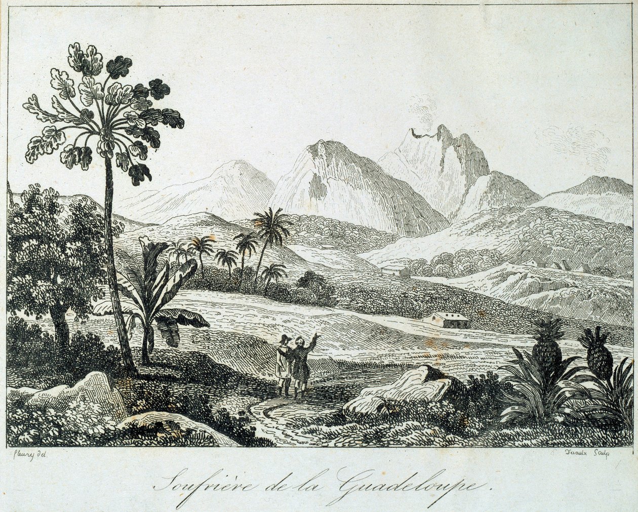 Vue d