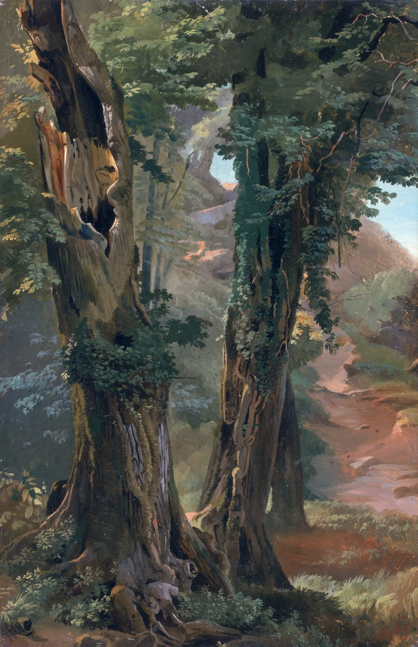 Vieux ormes, c.1835 - Friedrich Nerly