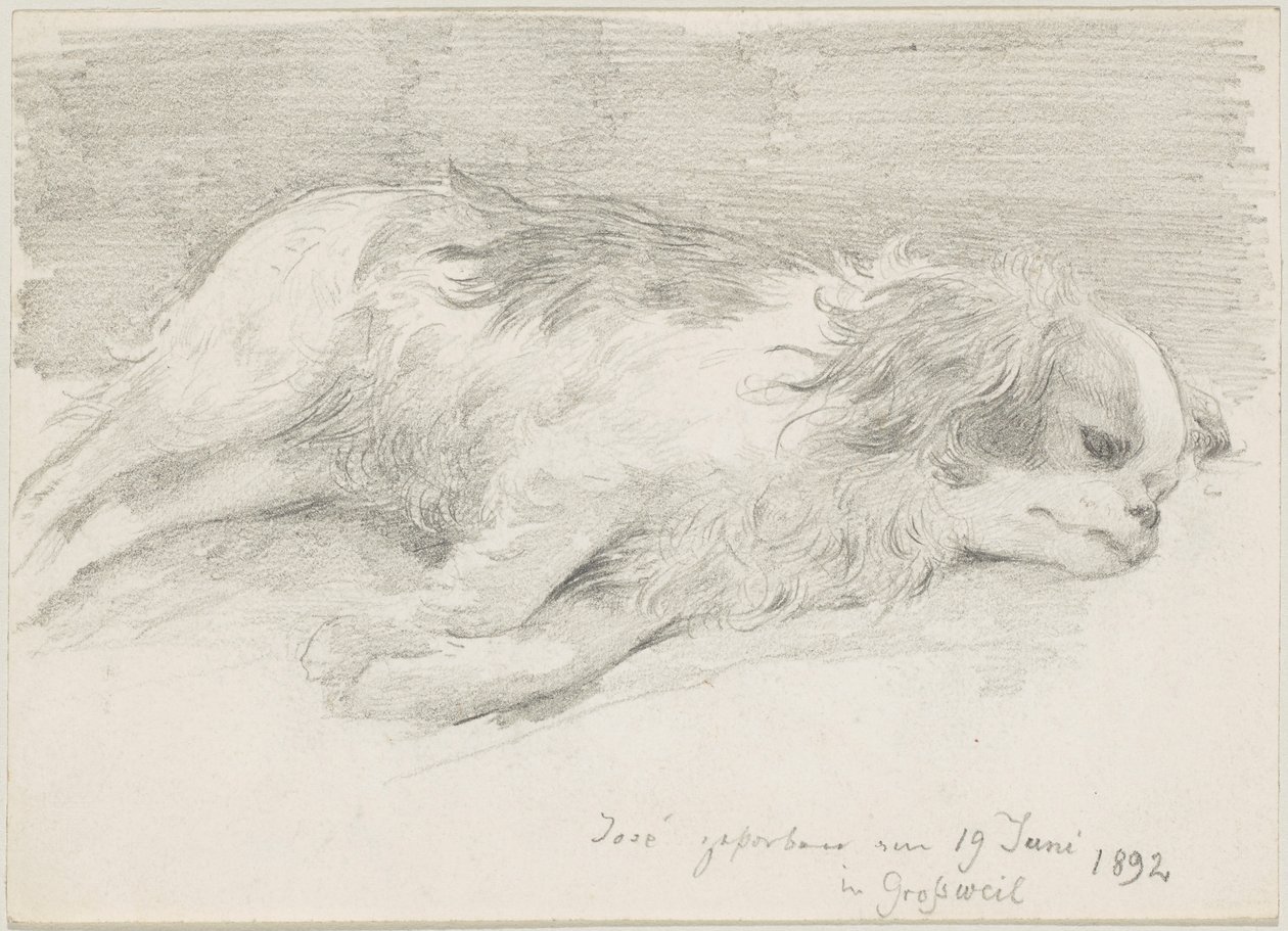 Études de chiens - Friedrich August von Kaulbach