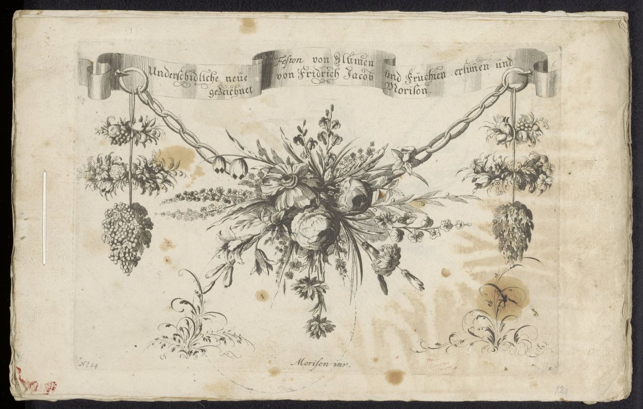 Différents nouveaux festons de fleurs et de fruits - Friedrich Jacob Morisson