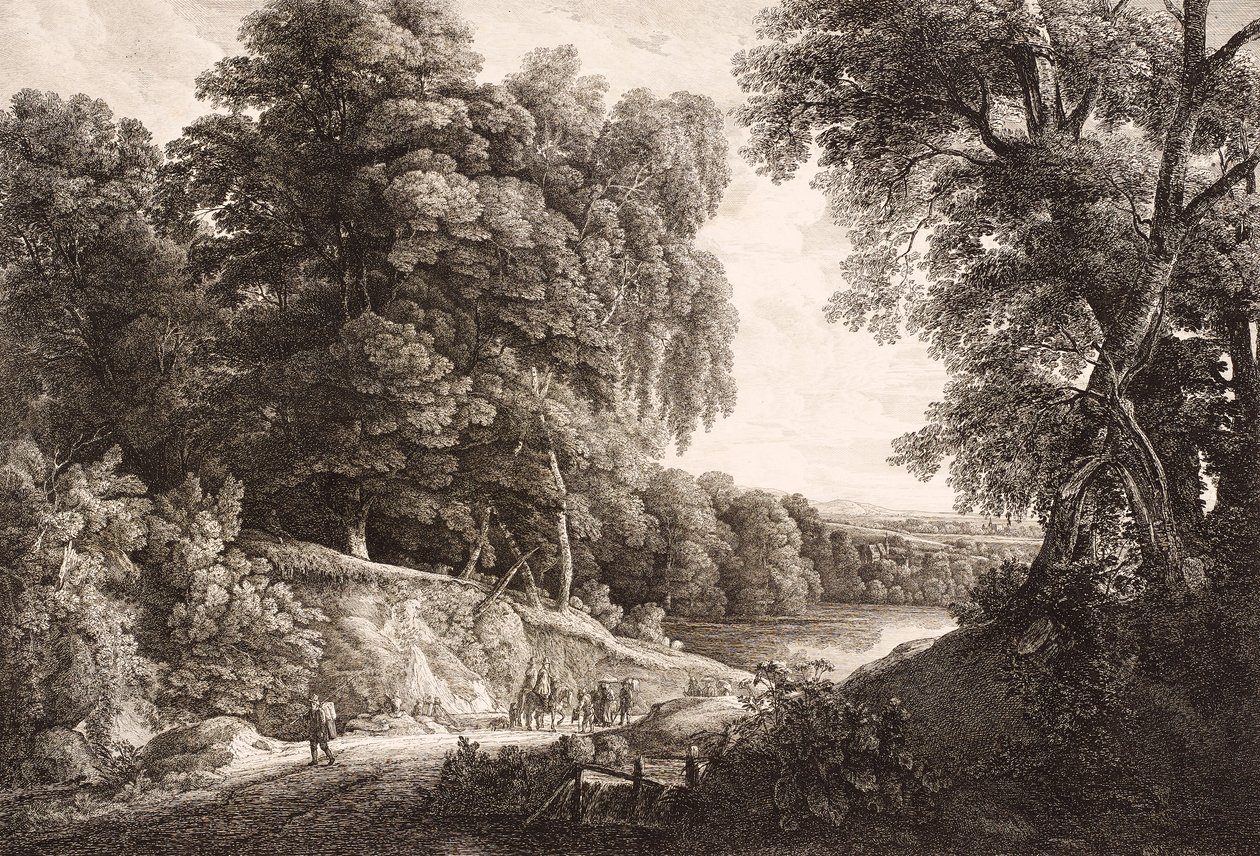 Paysage forestier - Friedrich Loos