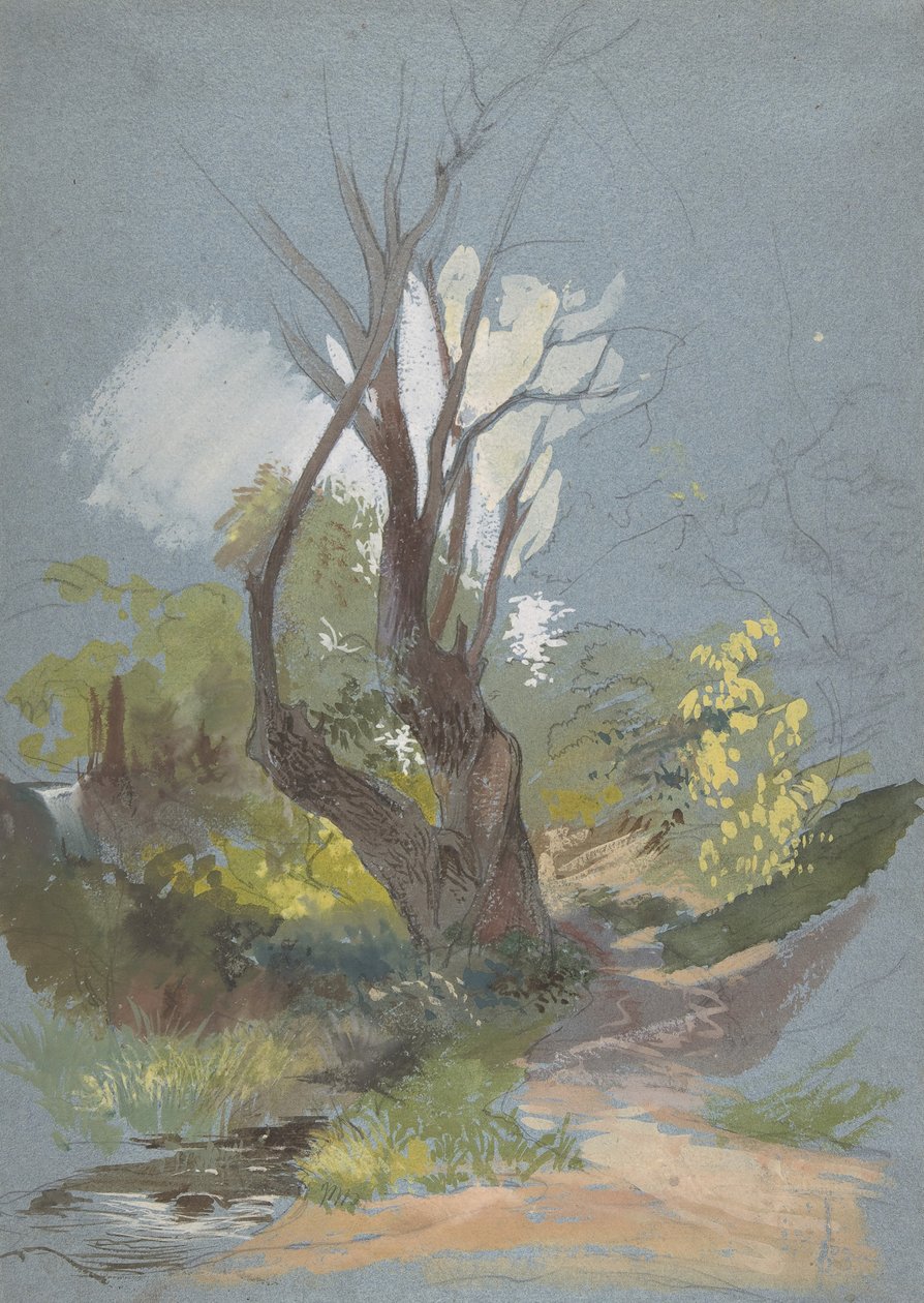 Sentier de montagne avec un arbre - Friedrich Nerly