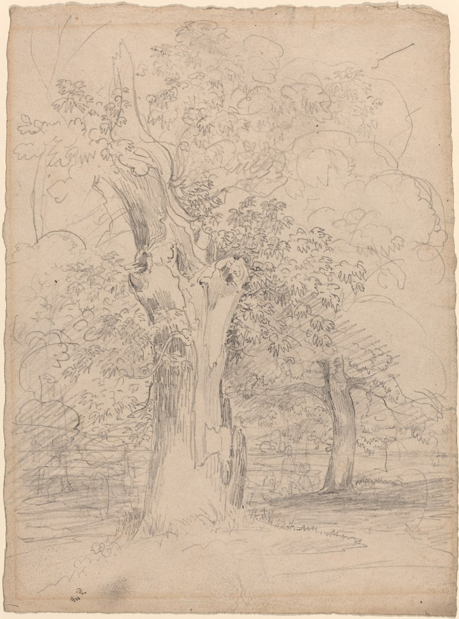 Un arbre ancien avec des figures dans un paysage - Friedrich Salathé