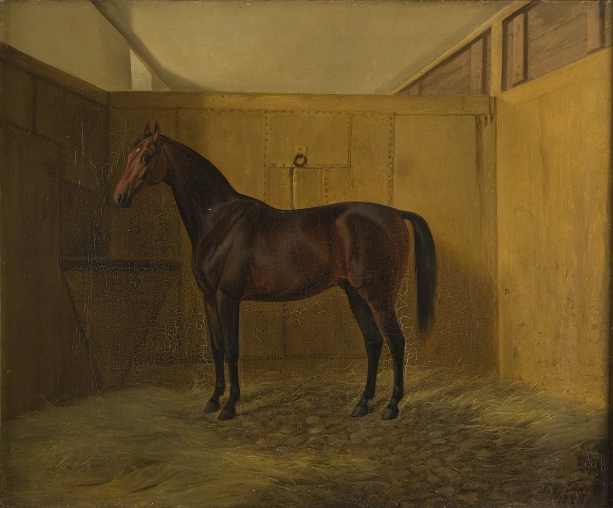 Hersilia - Fritz Thomsen