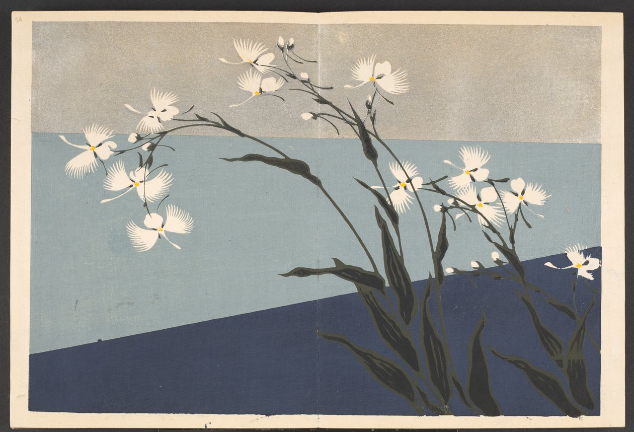 Shasei sôka môyô, Motifs de plantes et de fleurs d