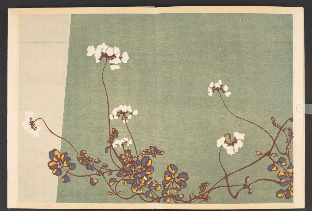 Shasei sôka môyô, Motifs de plantes et de fleurs de la vie - Furuya Korin