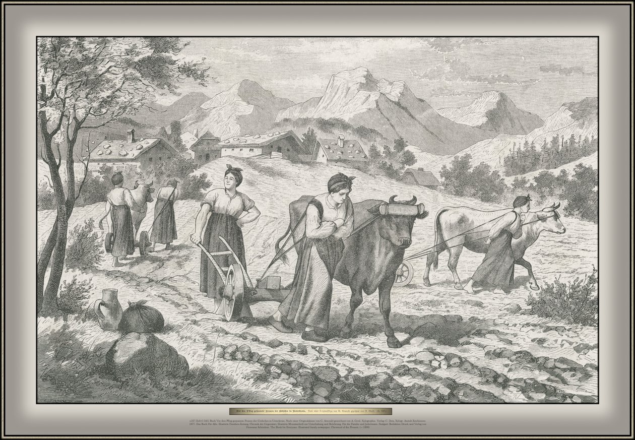 Livre Avant la charrue tirée par des femmes de Gödsch en Basse-Carniole - G. Arnould