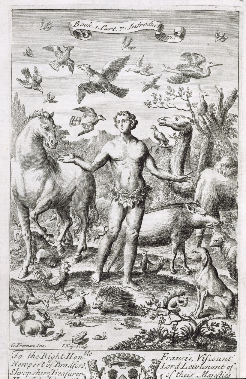 Adam au paradis avec les animaux, illustration de l