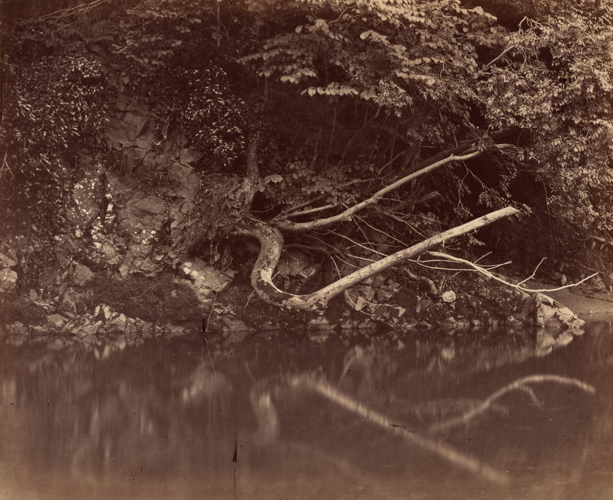 Rive de la rivière dans la vallée de Neath, vers 1855 (photo) 1855 (photo) - G.B. Gething