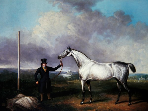Gentleman tenant un cheval de course gris sur un parcours - G. Jackson