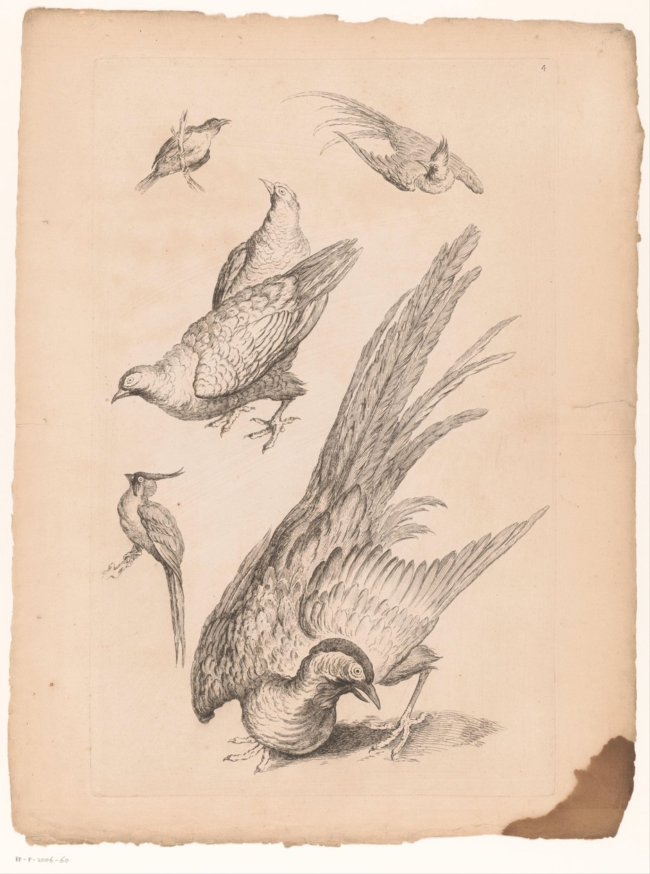 Six oiseaux chinois - Gabriel Huquier (attributed to)