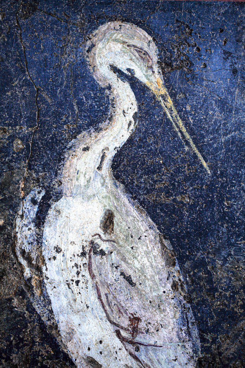 Peinture murale romaine - Gallo-Roman