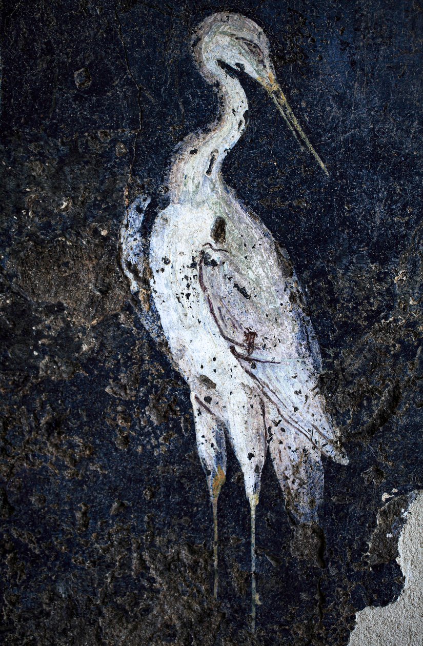 Peinture murale romaine - Gallo-Roman