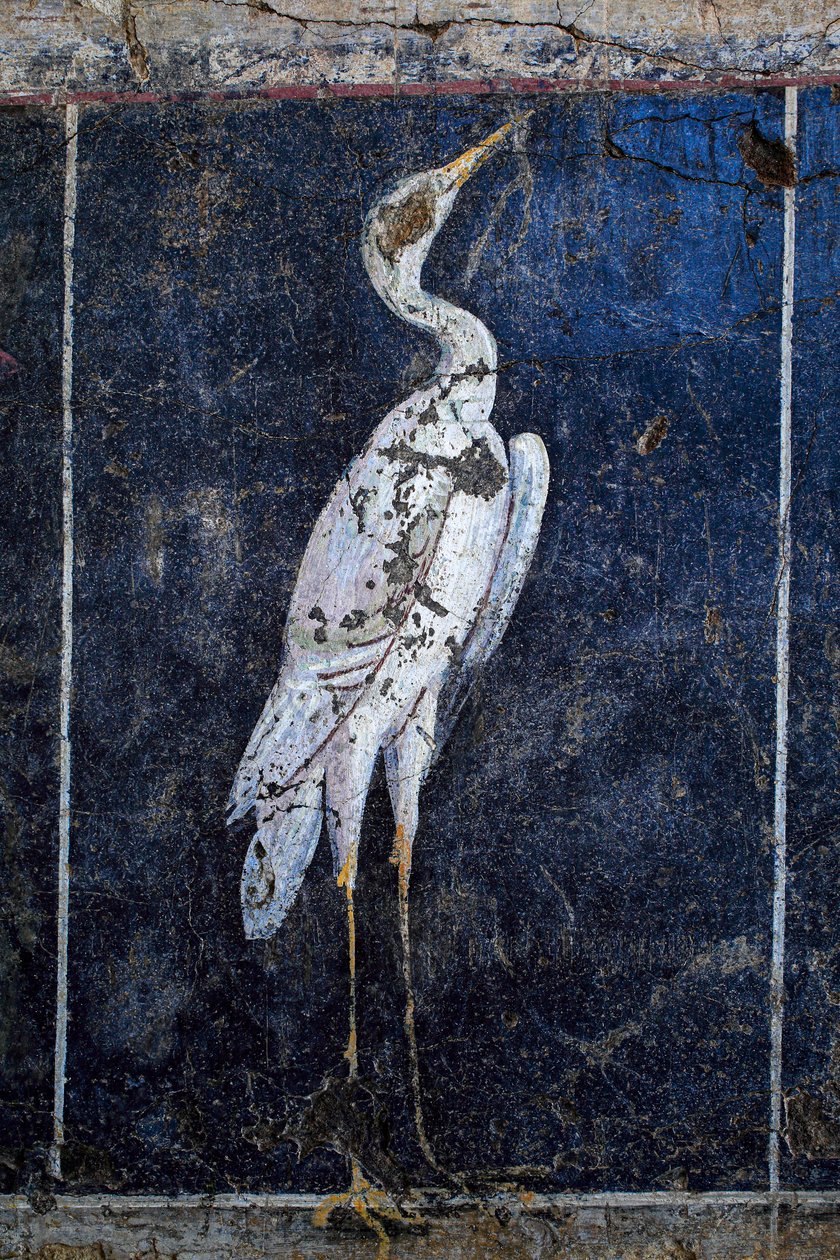 Peinture murale romaine - Gallo-Roman