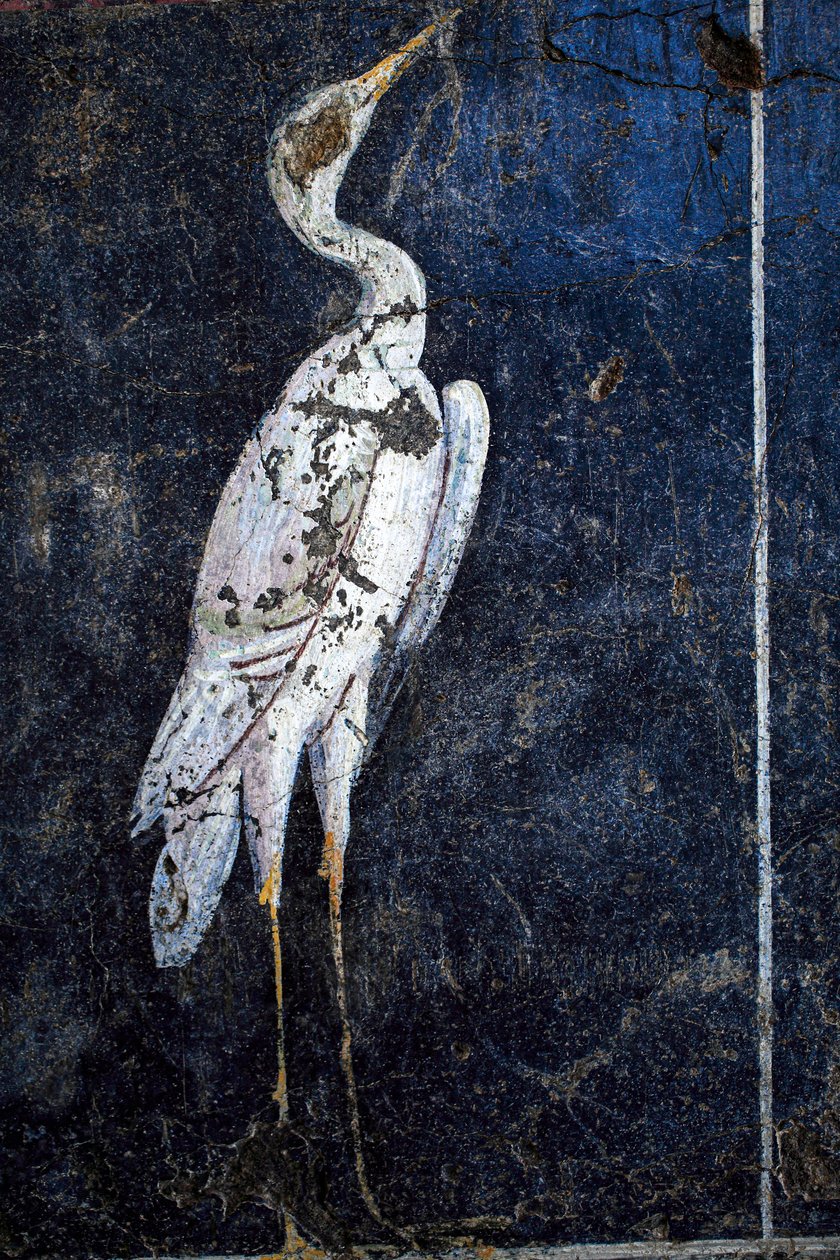 Peinture murale romaine - Gallo-Roman