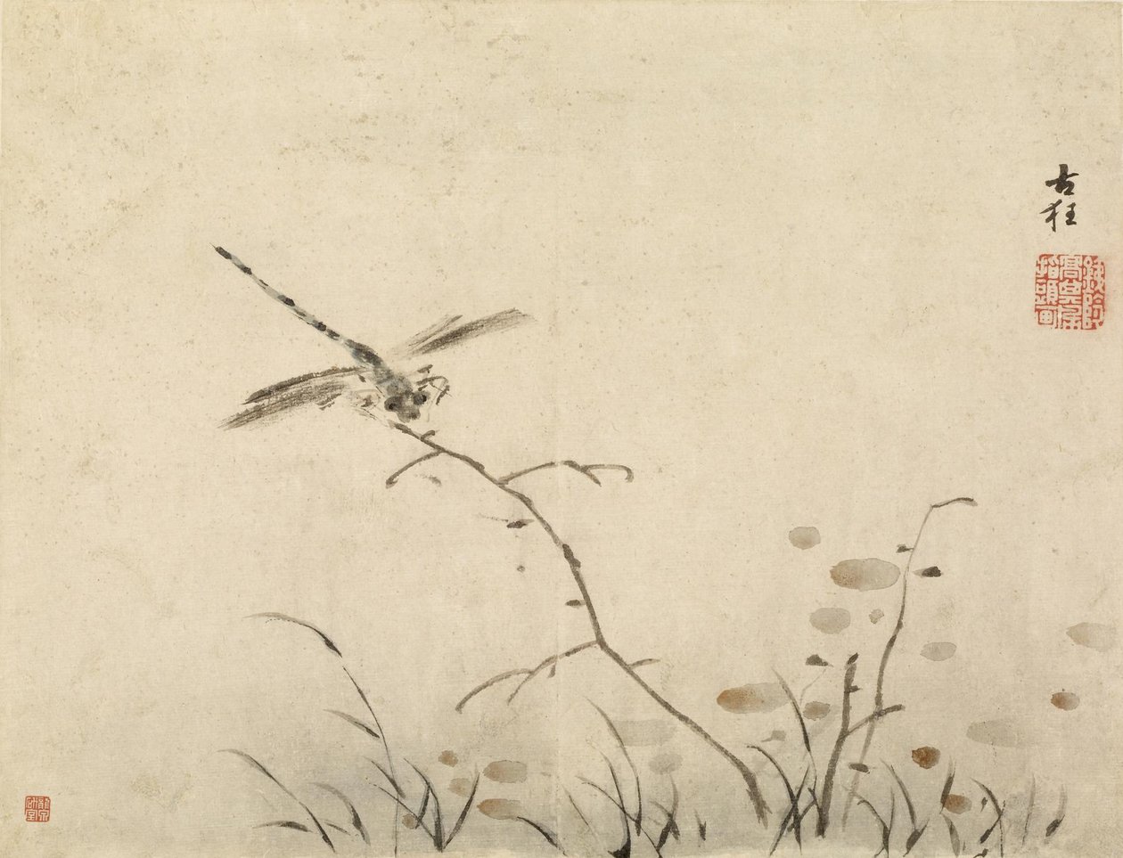 Libellule - Gao Qipei