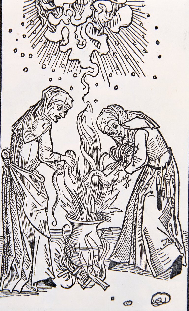 Traité des femmes maléfiques appelées sorcières - Garcia Pelayo